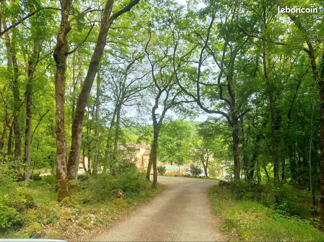 Maison à vendre, 290m², Mauzac-et-Grand-Castang