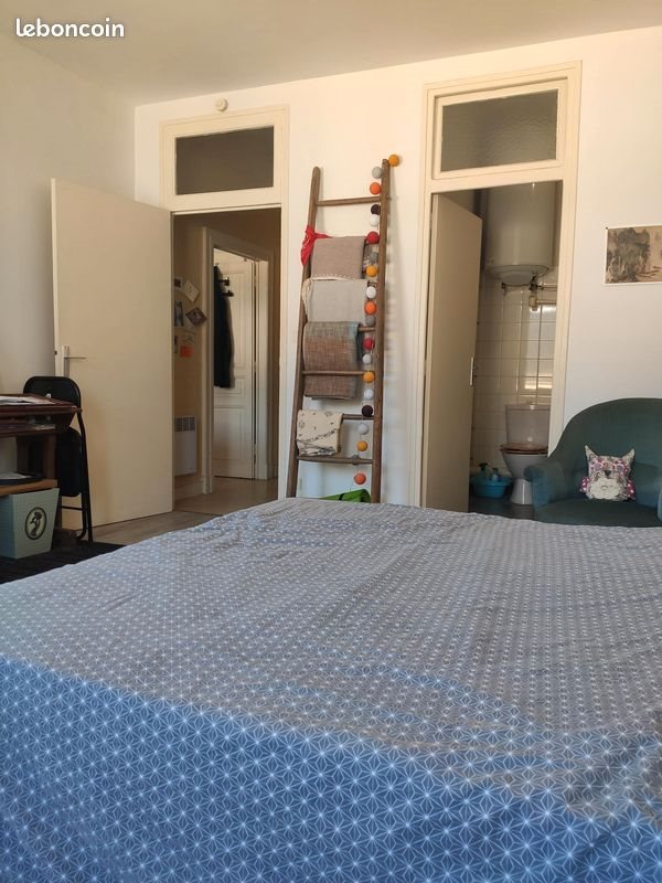Appartement à louer, 37m², Albi