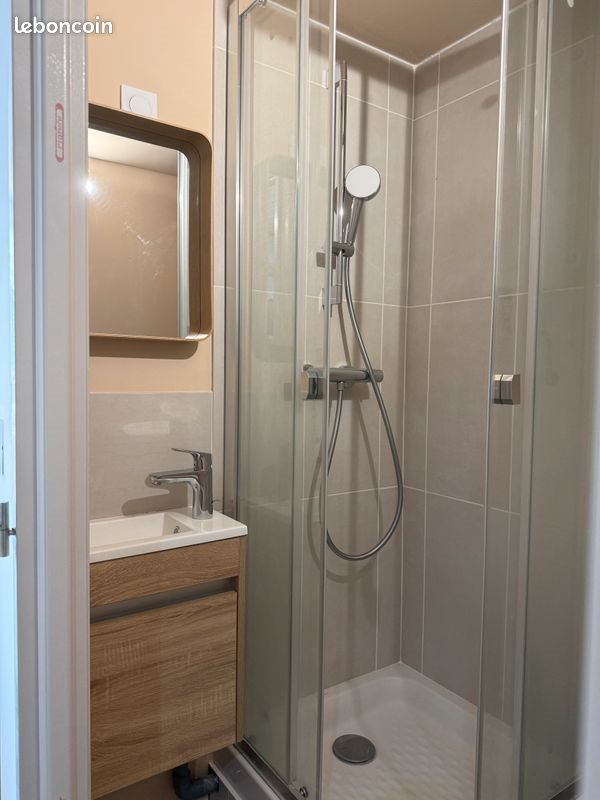 Appartement à louer, 18m², Saint-Etienne