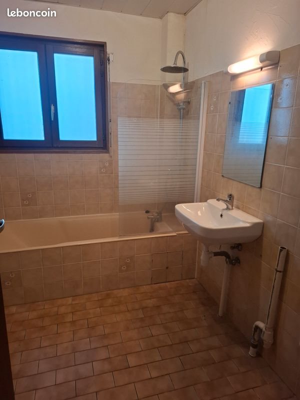 Appartement à louer, 50m², Colmar