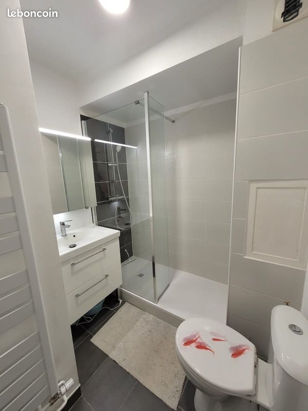 Appartement à louer, 30m², Oullins