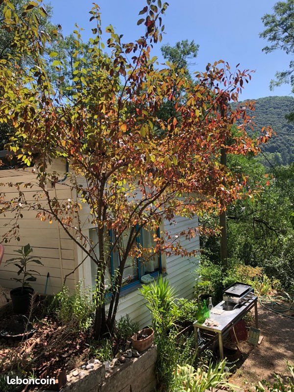 Maison à vendre, 42m², Lodève