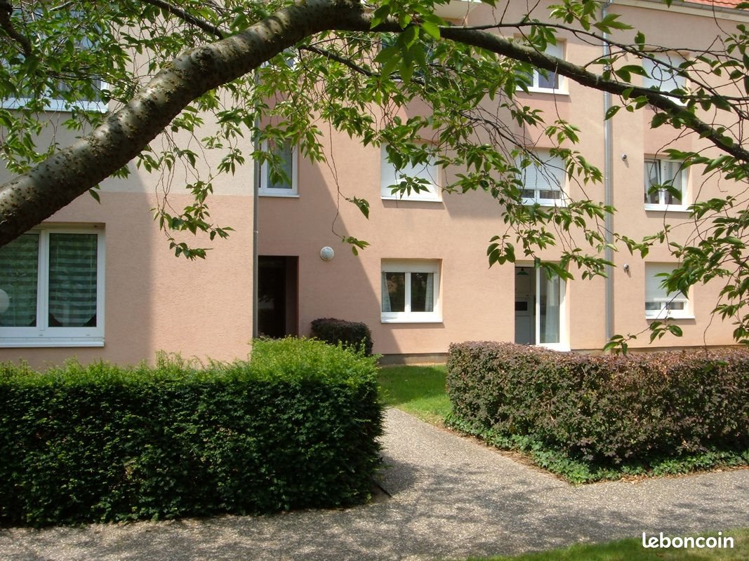 Appartement à louer, 29m², Colmar