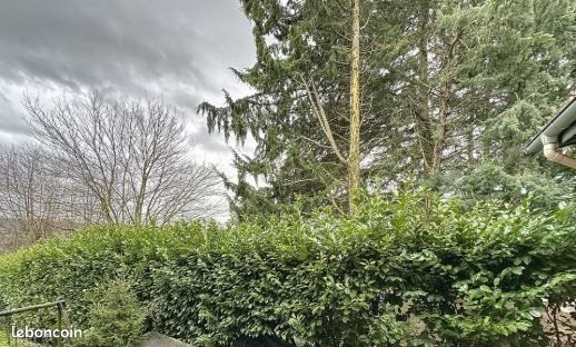 Appartement à louer, 43m², Curis-au-Mont-d'Or