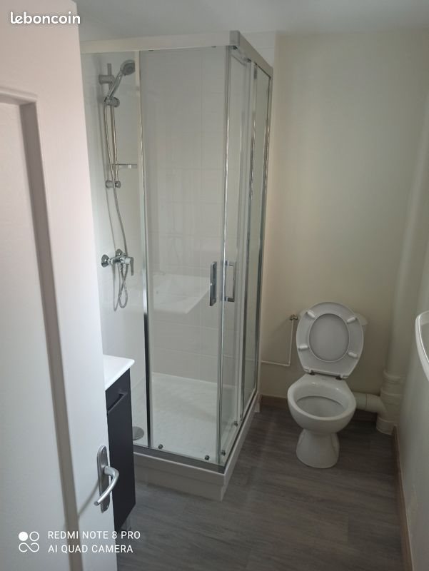 Appartement à louer, 41m², Roanne
