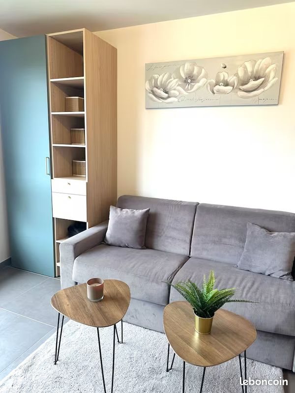 Appartement à louer, 35m², Ferney-Voltaire