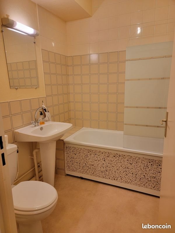 Appartement à louer, 30m², Nancy