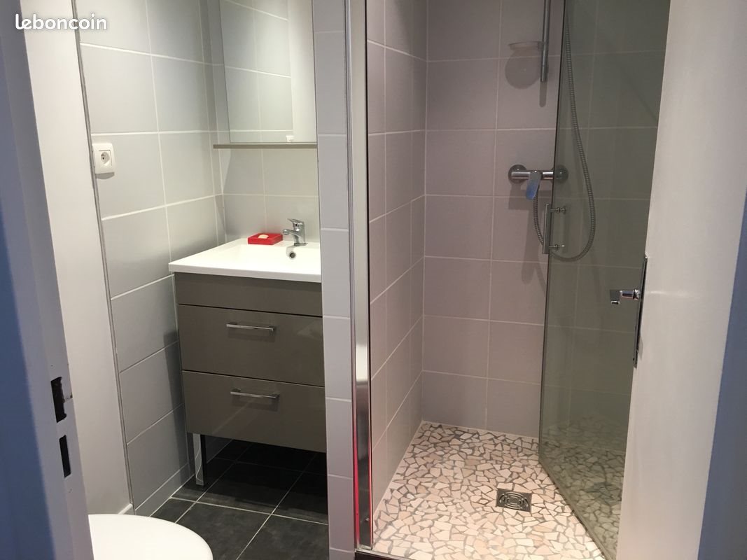 Appartement à louer, 28m², Saint-Étienne