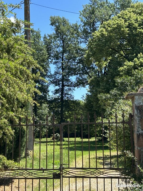 Maison à louer, 250m², Montauban