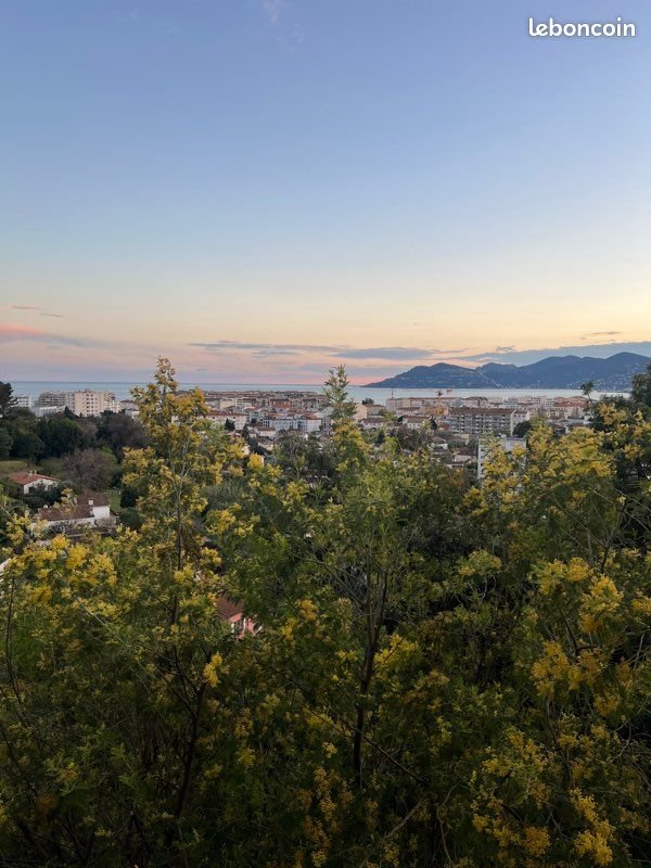 Appartement à louer, 44m², Cannes