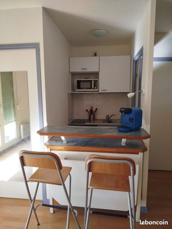 Appartement à louer, 34m², Lyon 7ème