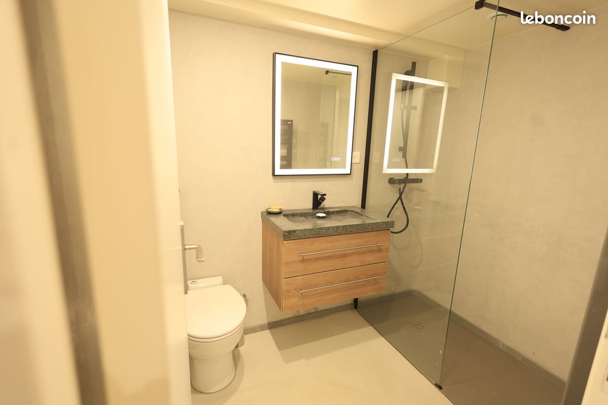 Appartement à louer, 52m², Montreuil