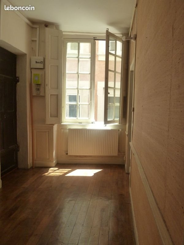 Appartement à louer, 56m², Lyon 1er