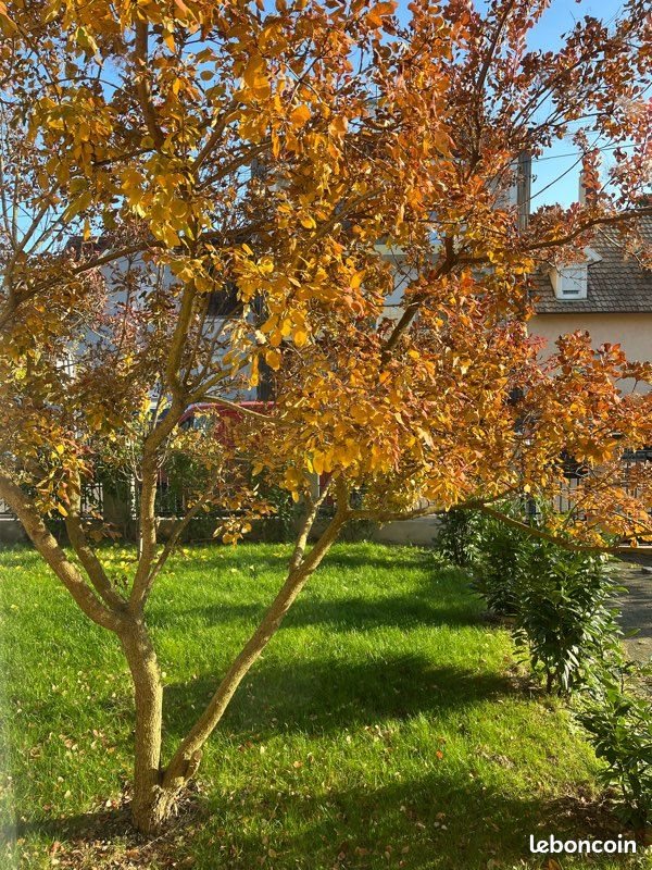 Appartement à louer, 73m², Strasbourg