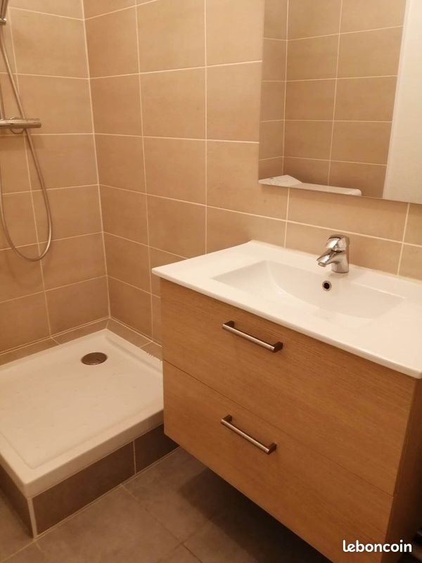 Appartement à louer, 35m², Villeurbanne