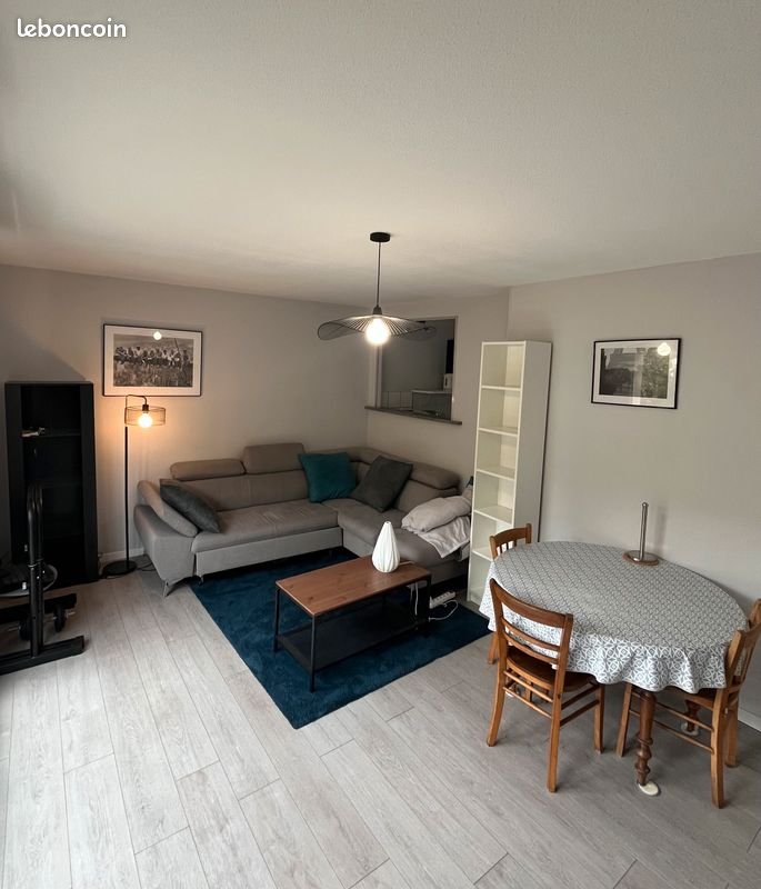 Appartement à louer, 50m², Nancy