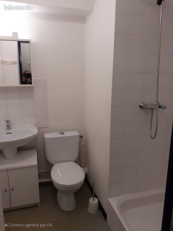 Appartement à louer, 19m², Villeurbanne