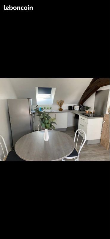 Appartement à louer, 40m², La Chapelle-Saint-Mesmin