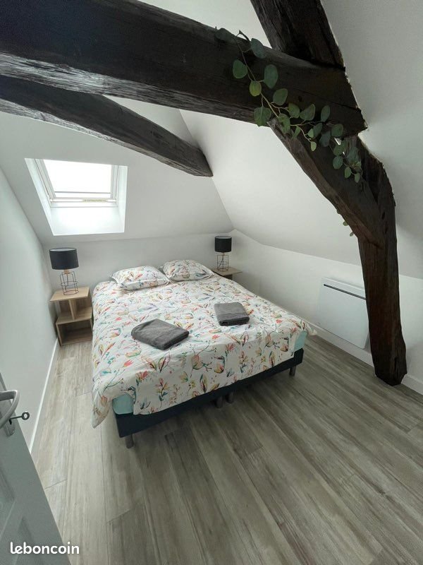 Appartement à louer, 40m², La Chapelle-Saint-Mesmin