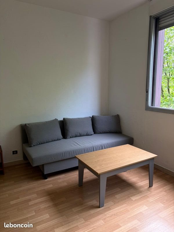 Appartement à louer, 33m², Saint-Etienne