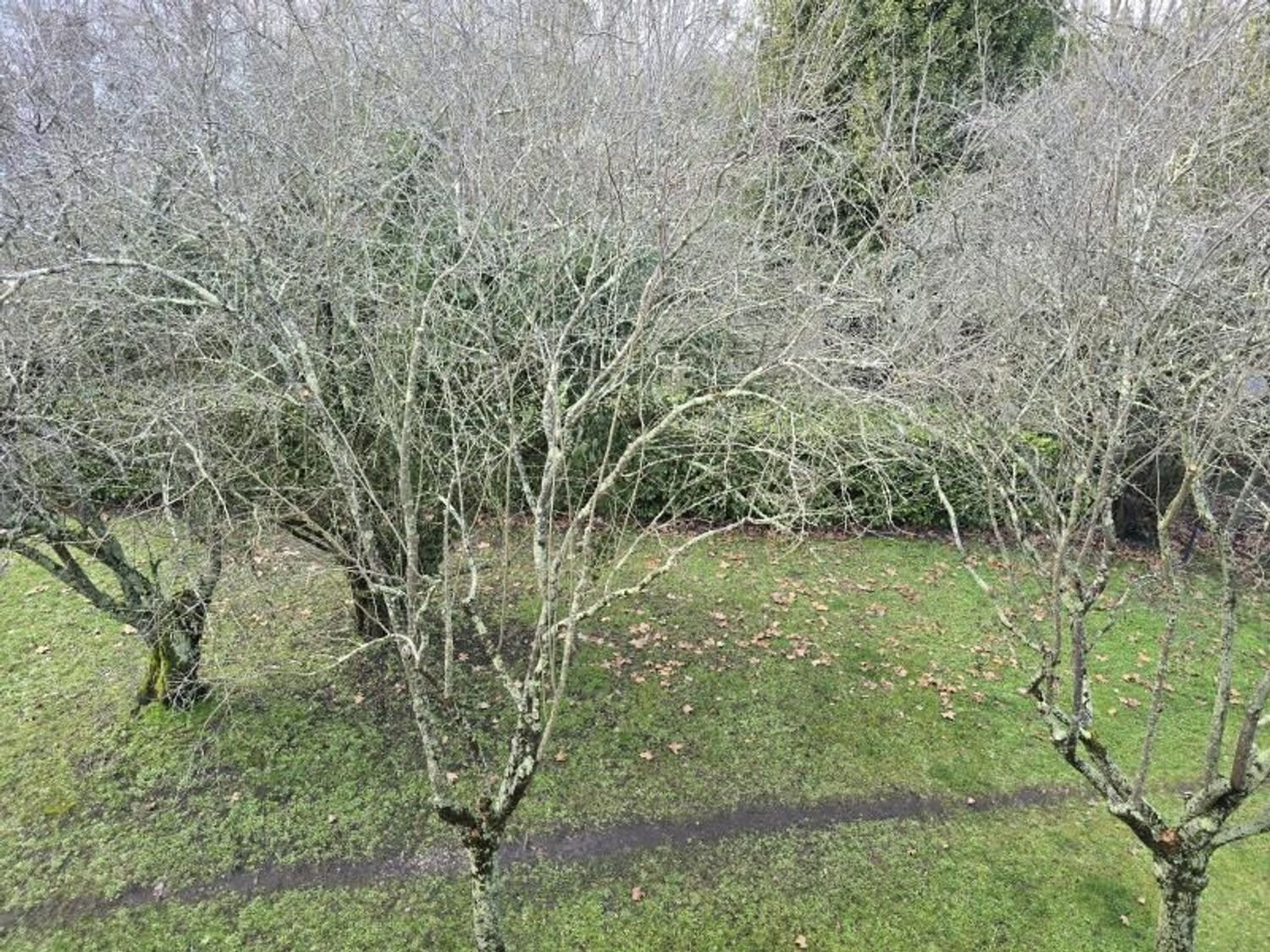 Appartement à louer, 70m², Mérignac