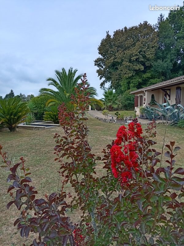 Maison à vendre, 97m², Poyanne