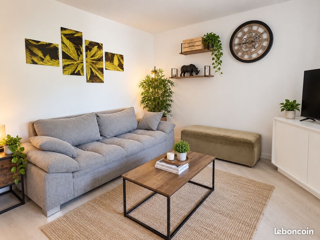 Appartement à louer, 55m², Annecy