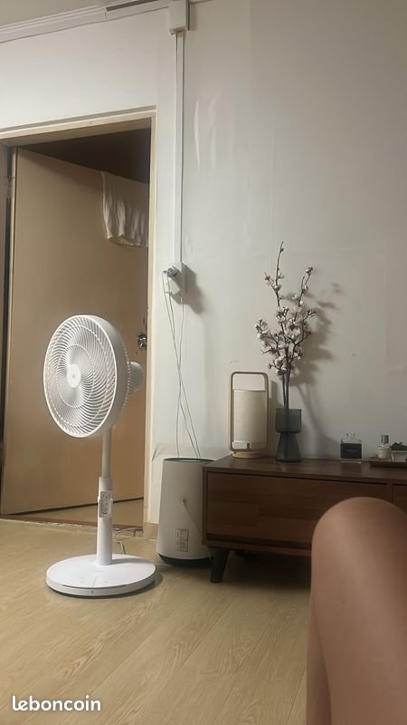 Appartement à louer, 40m², Roubaix