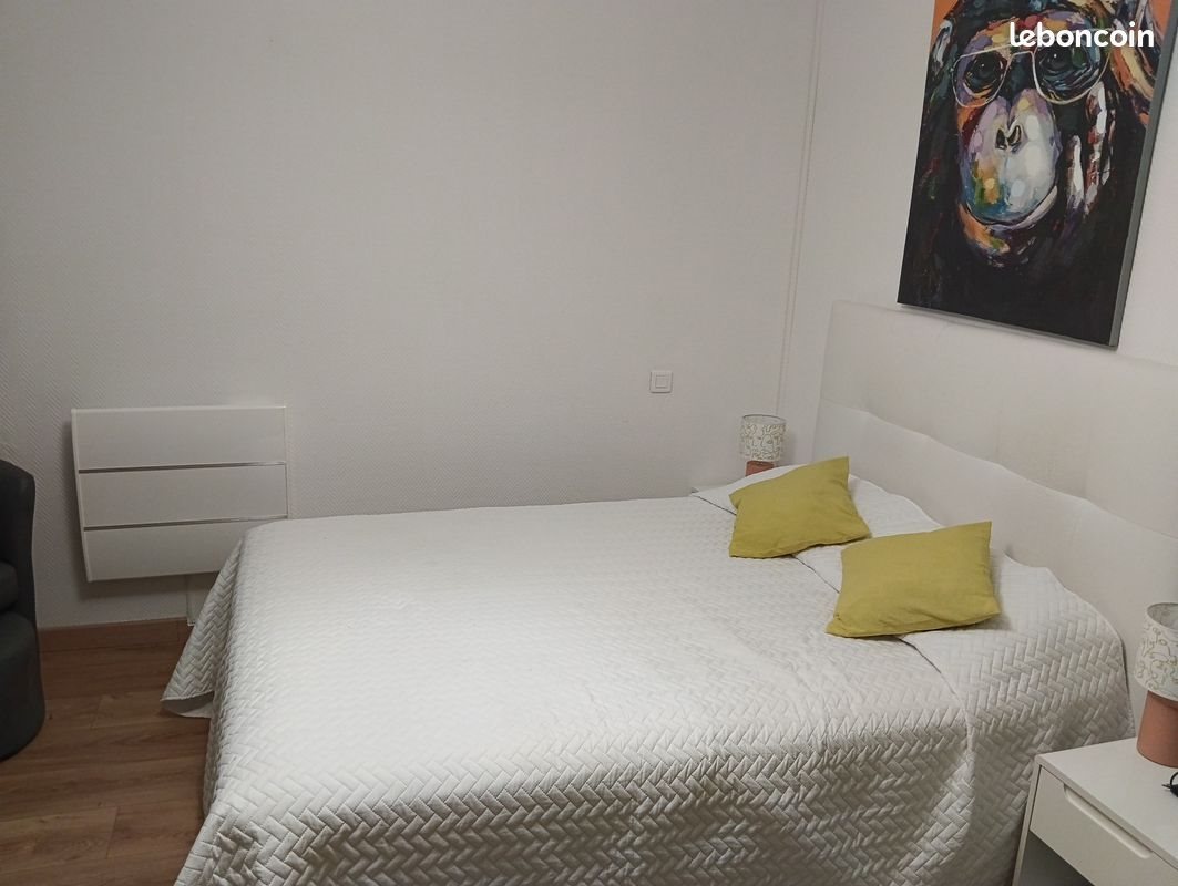 Appartement à louer, 19m², Amélie-les-Bains-Palalda