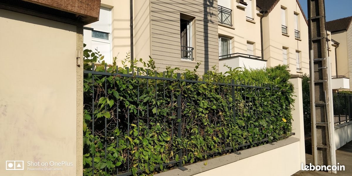 Appartement à vendre, 52m², Lèves