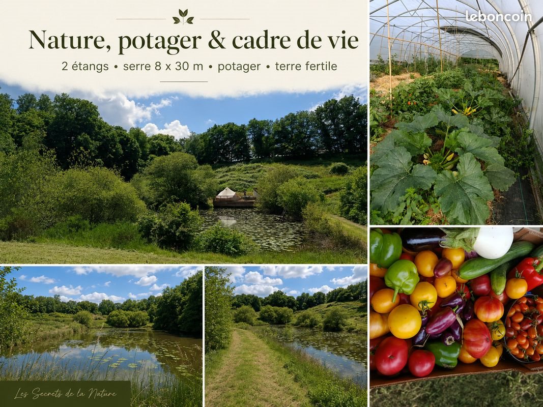 Maison à vendre, 370m², Savignac-Lédrier