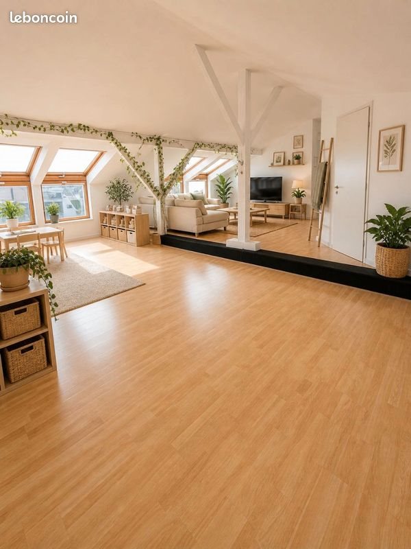 Appartement à vendre, 115m², Bischheim