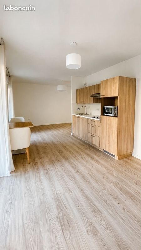 Appartement à louer, 48m², Clermont-Ferrand