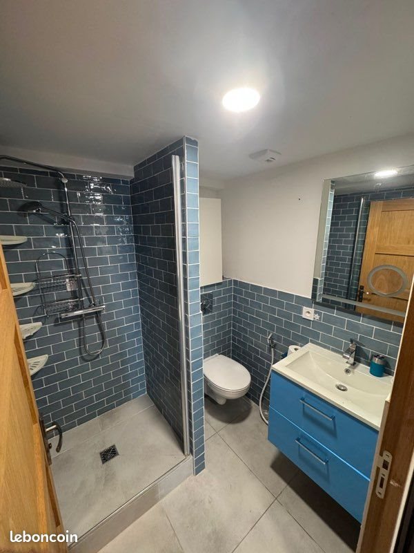 Appartement à louer, 40m², Oullins