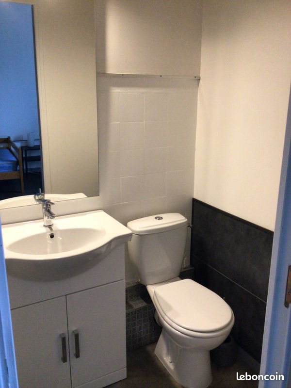 Appartement à louer, 17m², Saint-Martin-d'Hères