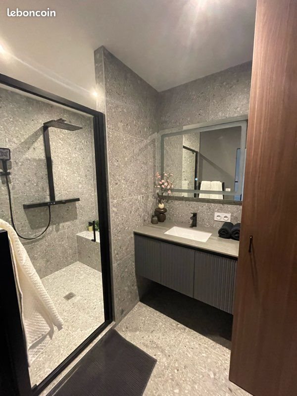 Appartement à louer, 37m², Saint-Etienne