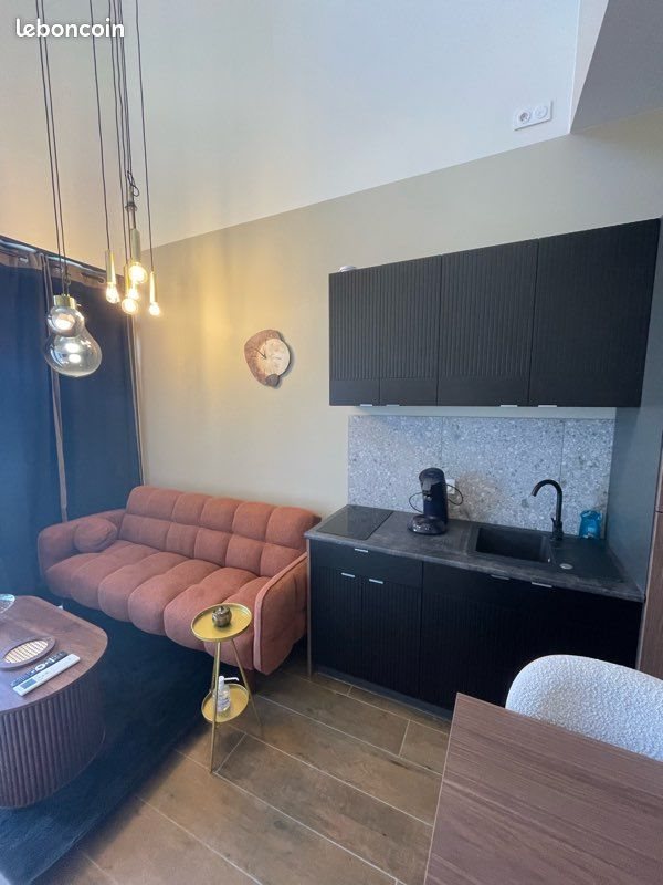 Appartement à louer, 37m², Saint-Etienne