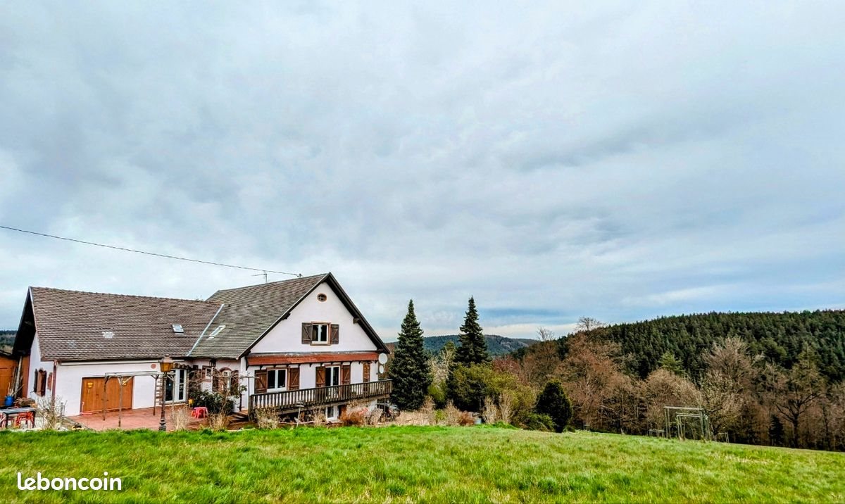 Maison à vendre, 285m², Wangenbourg-Engenthal