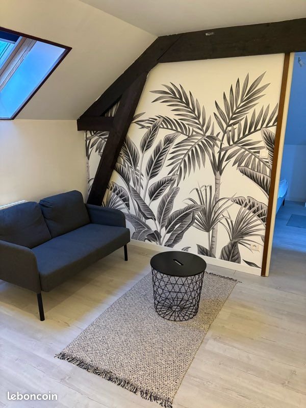 Appartement à louer, 30m², Vierzon