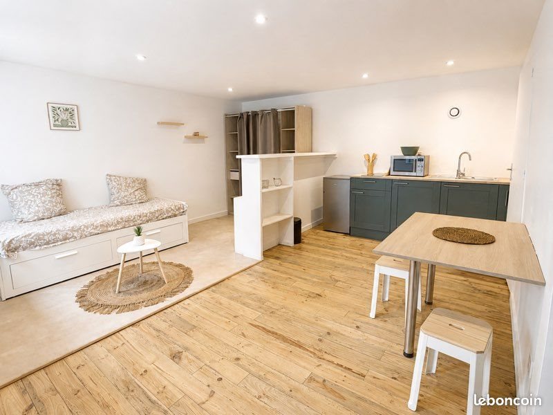 Appartement à louer, 25m², Saint-Etienne