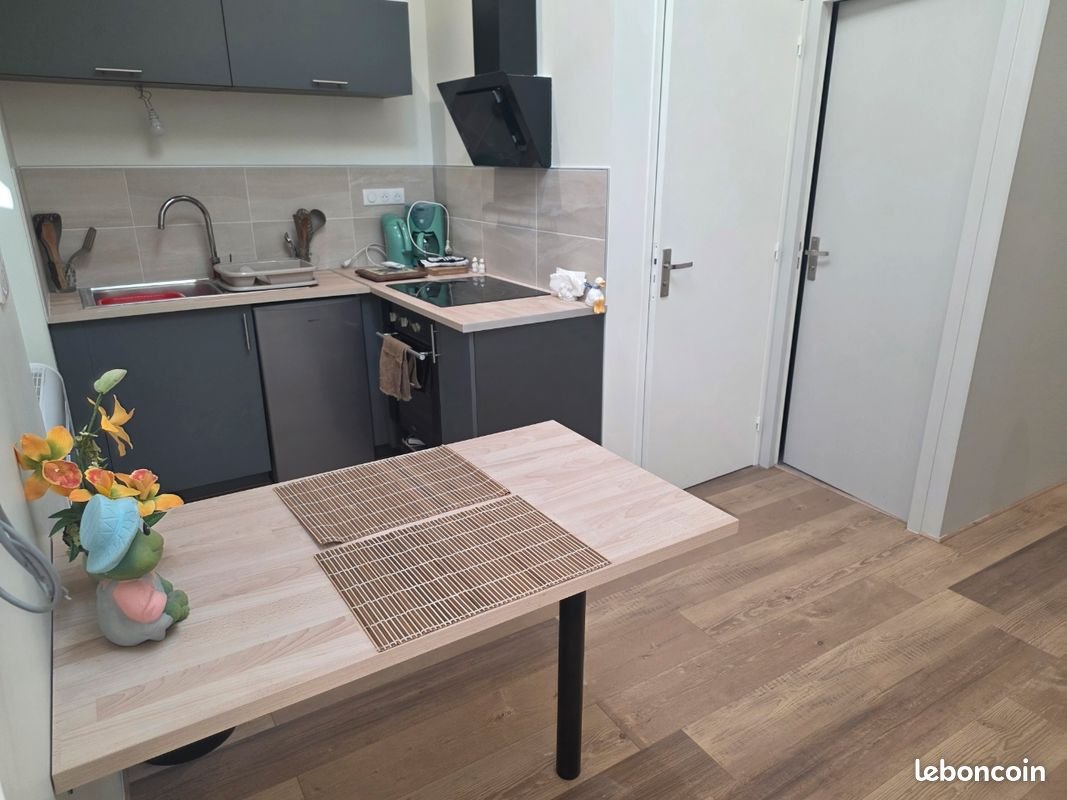 Appartement à louer, 40m², Saint-Étienne