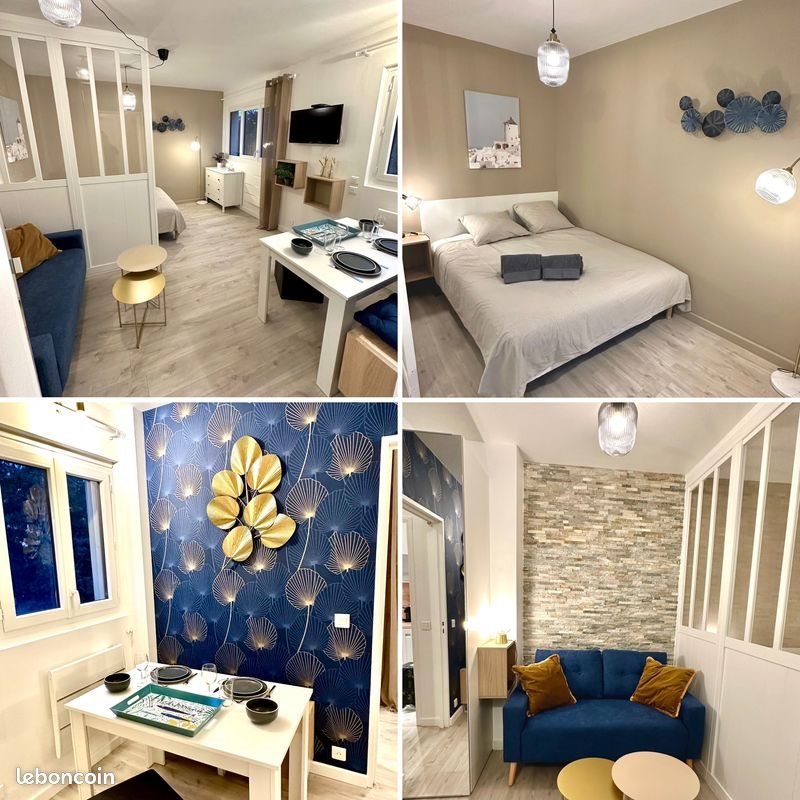 Appartement à louer, 27m², Le Cannet