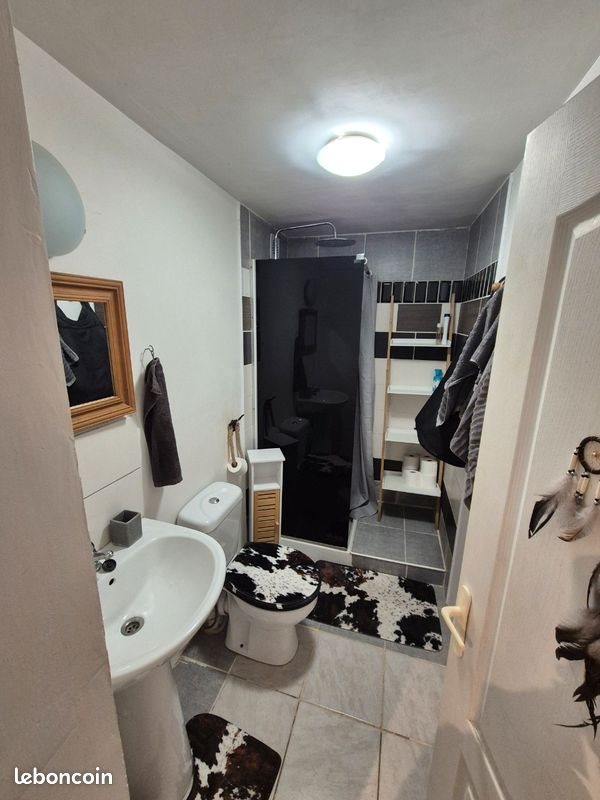 Appartement à louer, 30m², Saint-Cergues