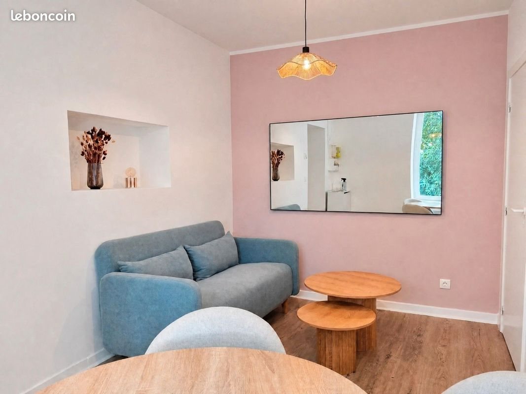 Appartement à louer, 27m², Nancy