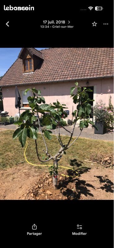 Maison à vendre, 75m², Criel-sur-Mer