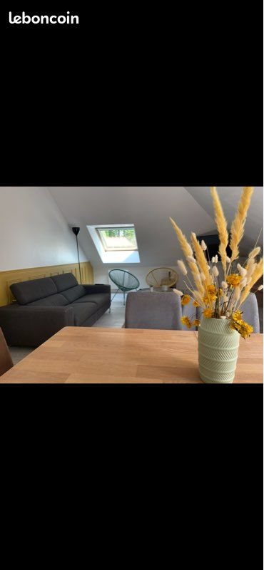 Appartement à louer, 58m², Pau