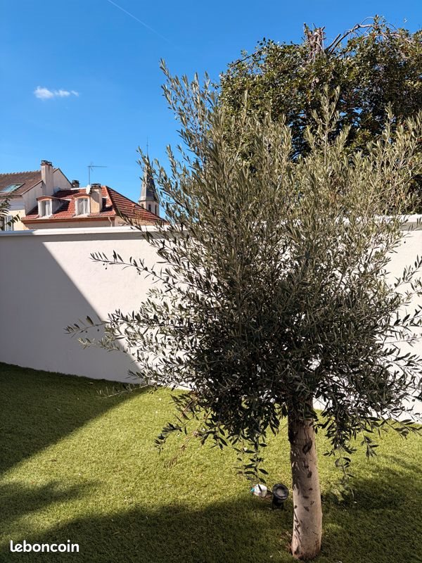 Maison à louer, 70m², Rueil-Malmaison