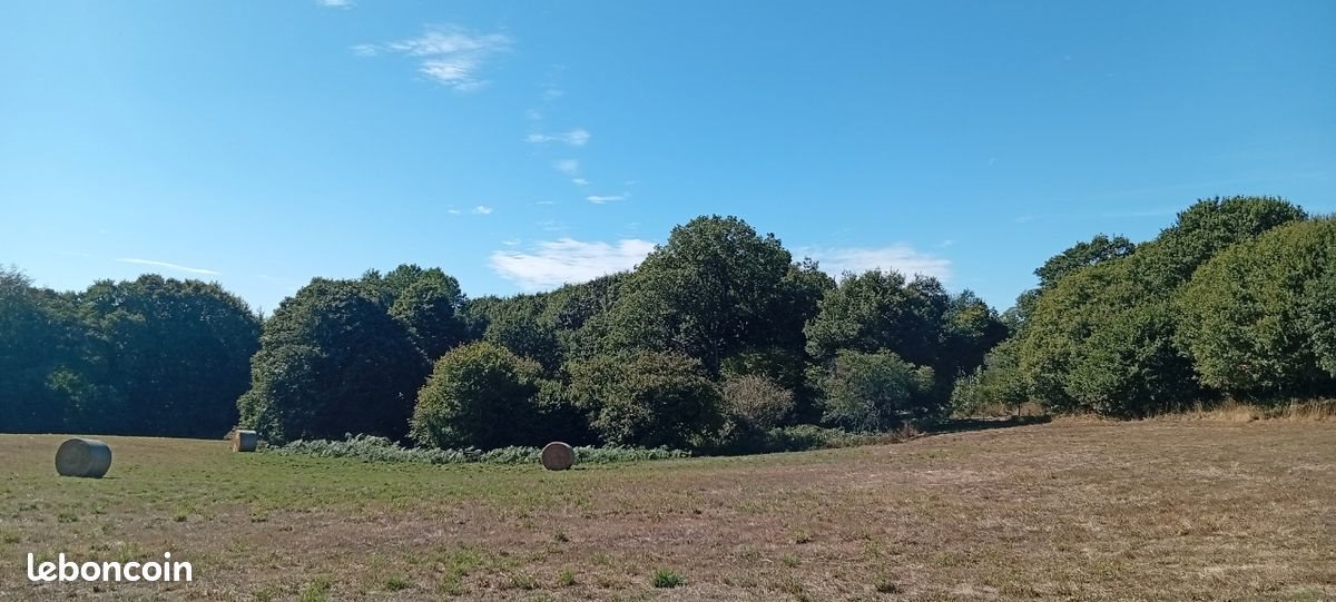 Maison à vendre, 120m², Plouray
