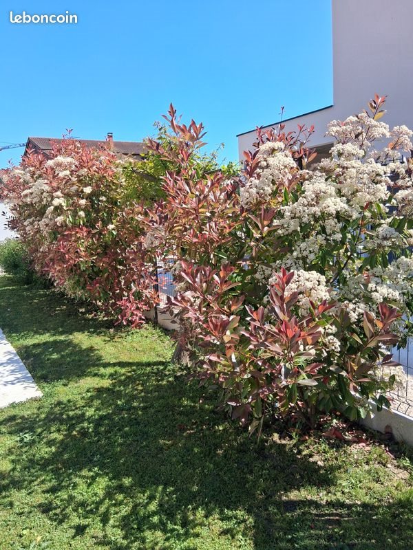 Maison à vendre, 104m², Mâcon