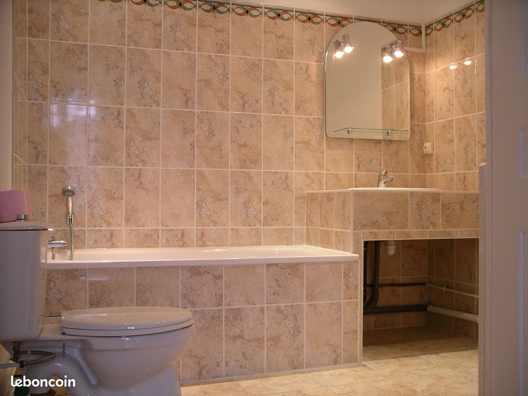 Appartement à louer, 42m², Villeurbanne